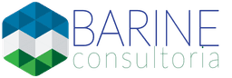 Barine Consultoria